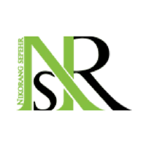 شرکت نیکورنگ