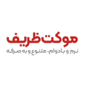 شرکت ظریف مصور