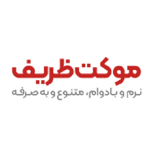 شرکت ظریف مصور